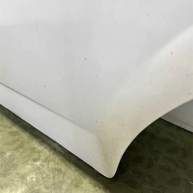 Porta posteriore sinistra Senza cerniere