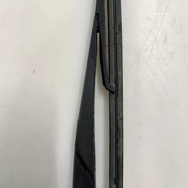 Braccio tergilunotto