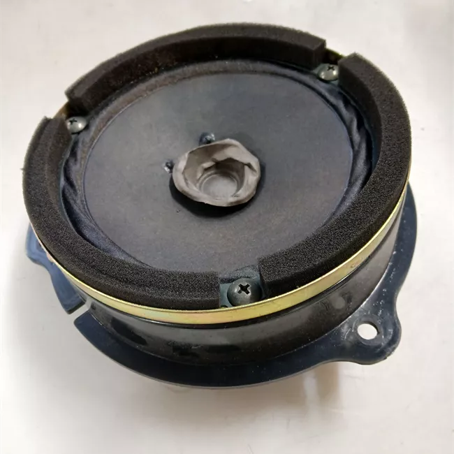 Altoparlante porta anteriore destro