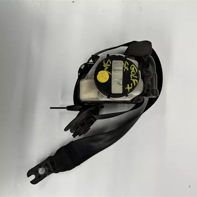 Cintura di sicurezza posteriore sinistra nero