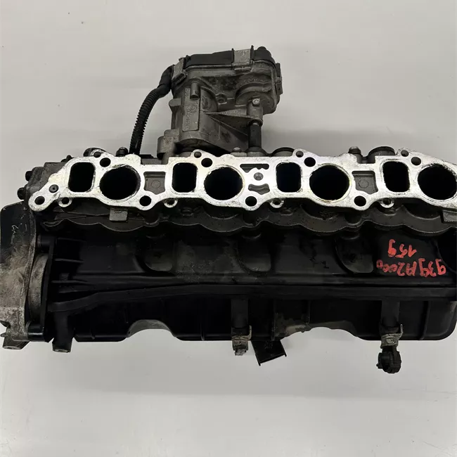 Collettore aspirazione