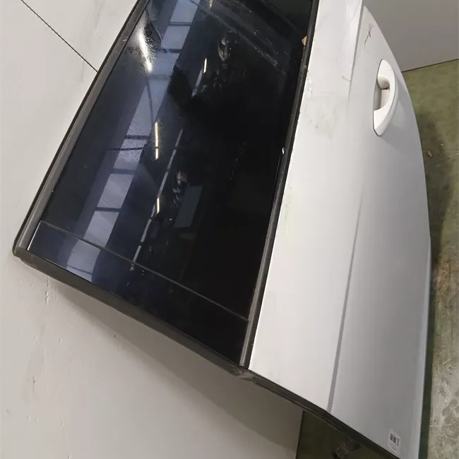 Porta posteriore sinistra