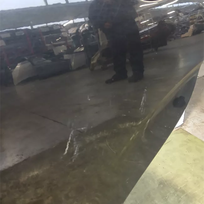 Porta posteriore sinistra