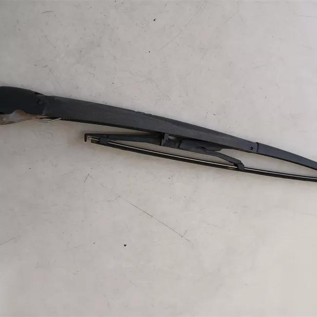 Braccio con spazzola tergilunotto