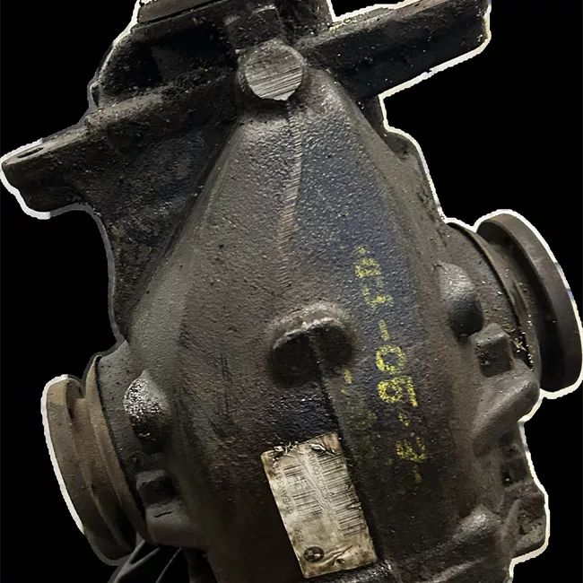 Differenziale posteriore rotazionale ione