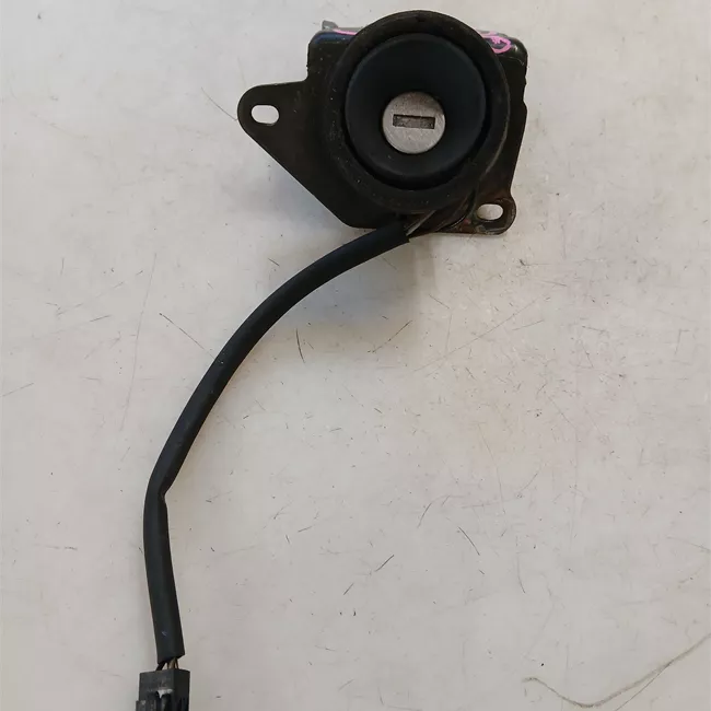 Serratura portello posteriore