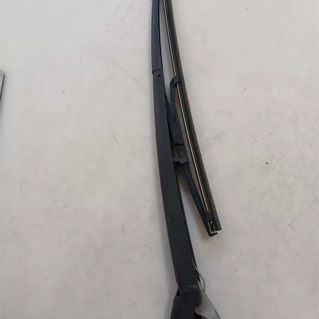 Braccio con spazzola tergilunotto