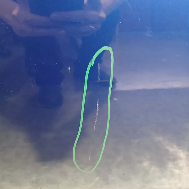 Porta posteriore sinistra