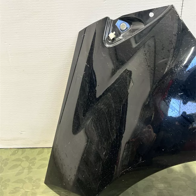 Parafango anteriore sinistro