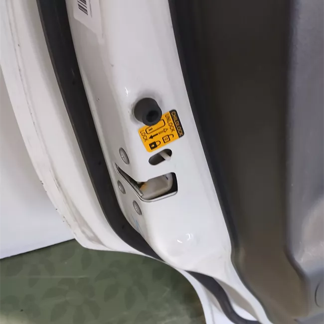 Porta posteriore sinistra