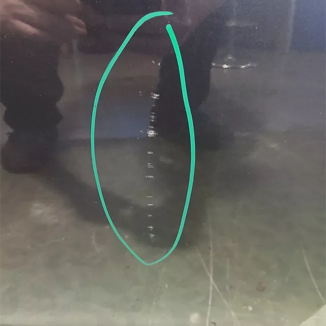 Porta anteriore destra