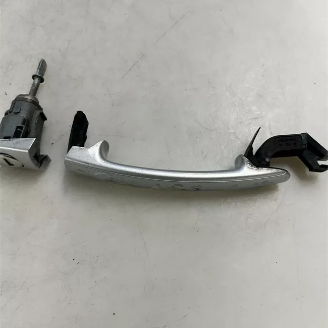 Maniglia porta anteriore sinistra primer