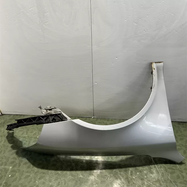 Parafango anteriore destro