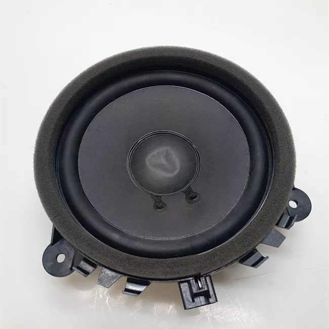 Altoparlante porta anteriore sinistro