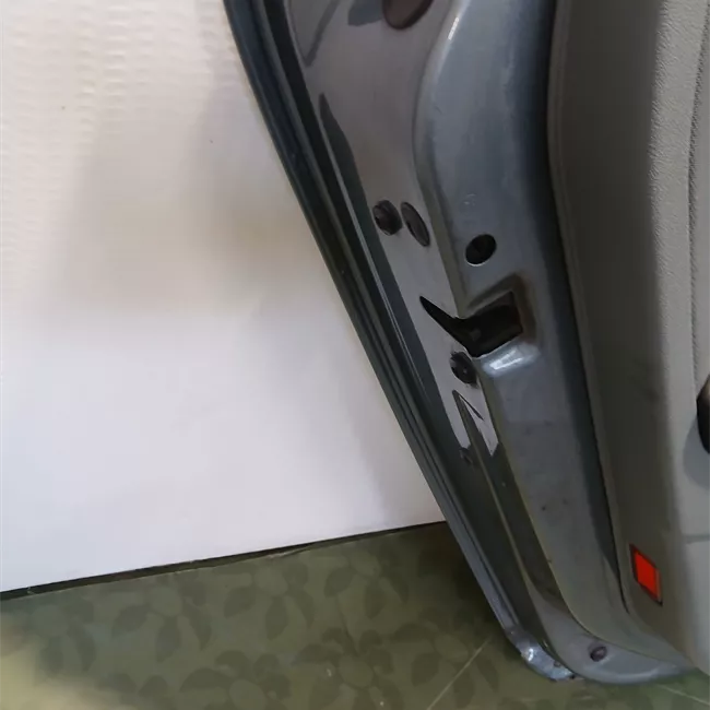 Porta posteriore sinistra