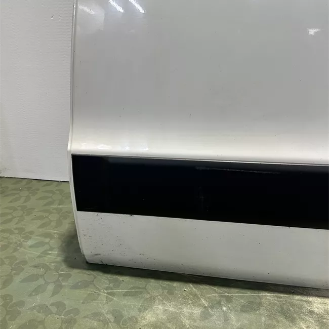 Porta posteriore sinistra