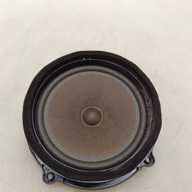 Altoparlante porta posteriore sinistro Bassi, sistema Audio 600W & 1280W