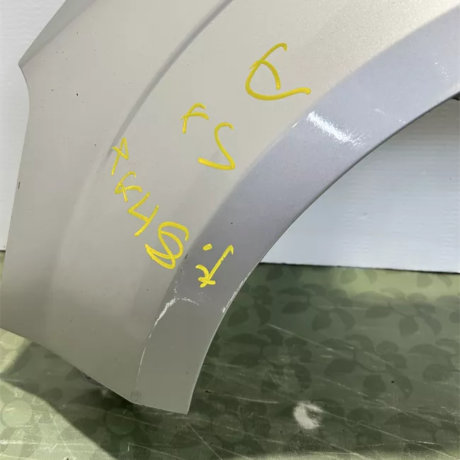 Parafango anteriore sinistro