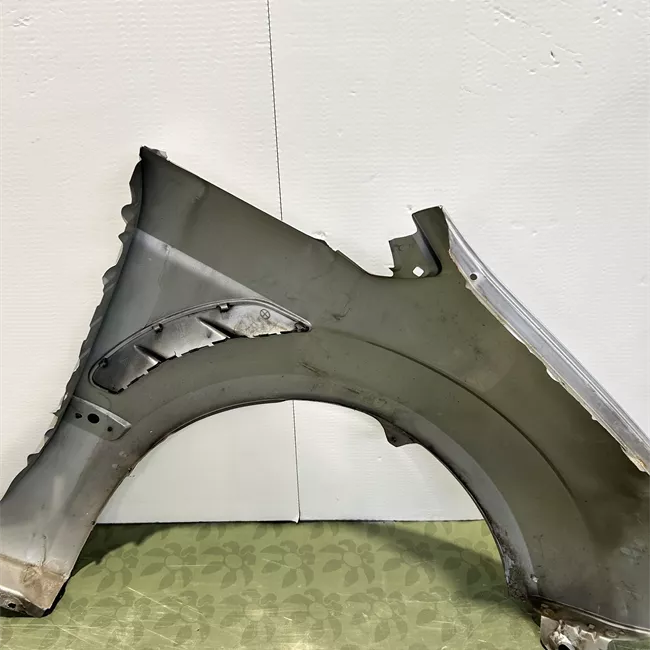 Parafango anteriore sinistro