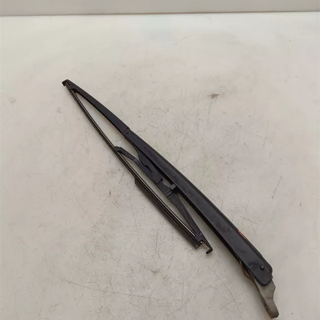 Braccio con spazzola tergilunotto