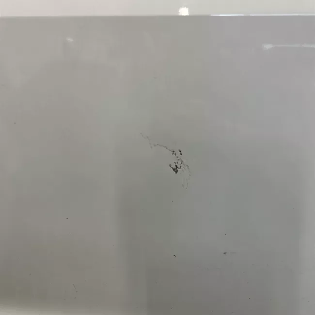 Porta posteriore sinistra