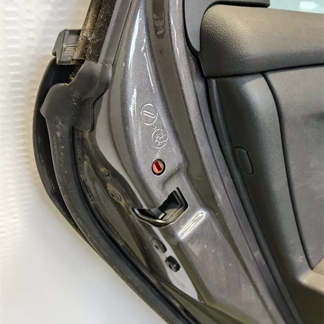 Porta posteriore sinistra