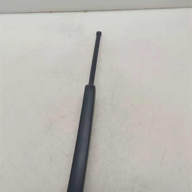 Braccio tergilunotto nero