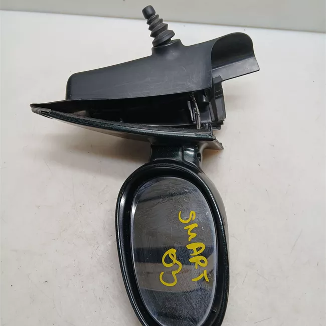 Retrovisore esterno sinistro Argento alluminio