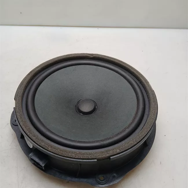 Altoparlante porta anteriore sinistro