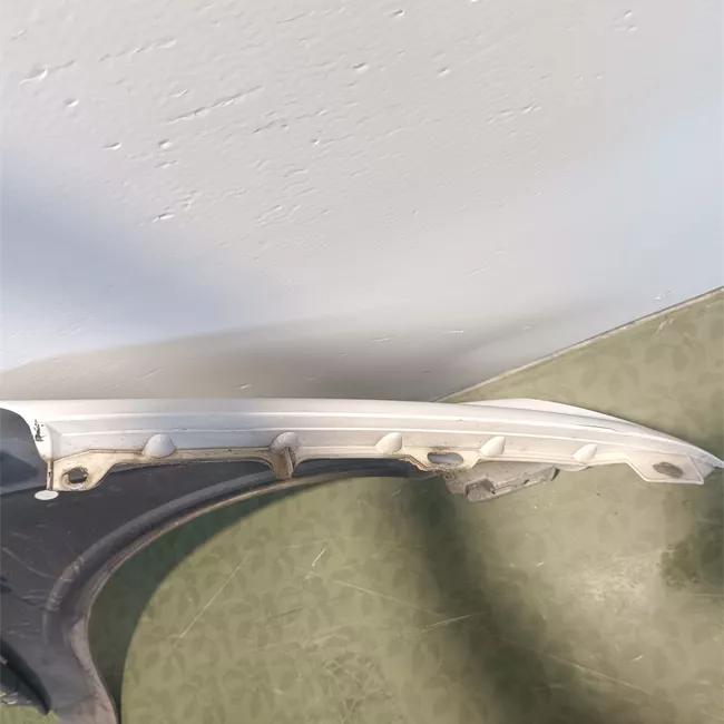 Parafango anteriore sinistro