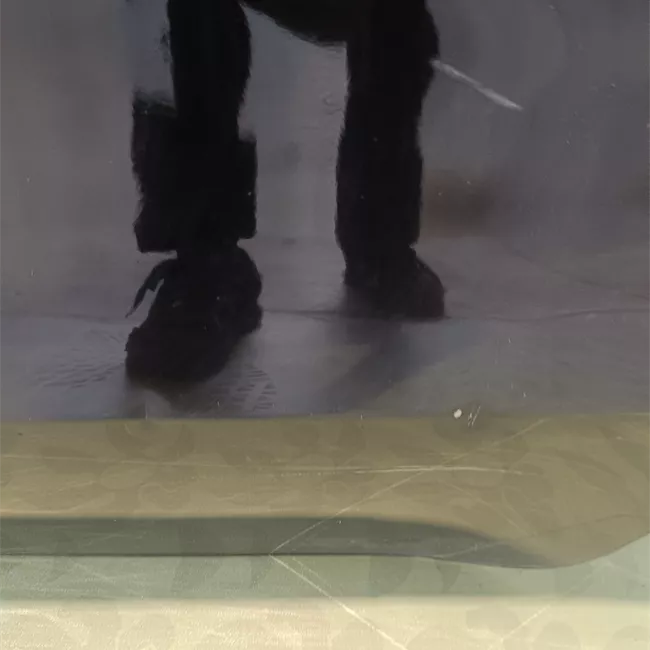 Porta posteriore sinistra