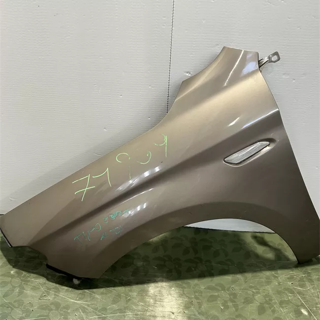 Parafango anteriore sinistro