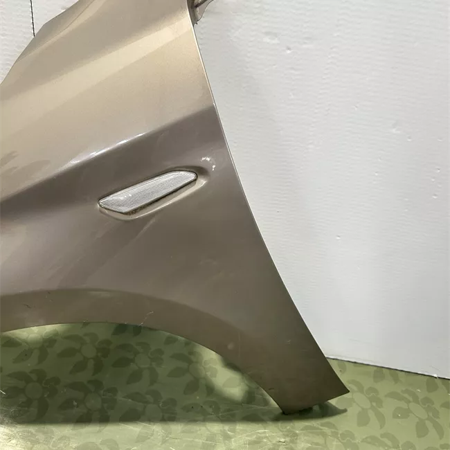 Parafango anteriore sinistro