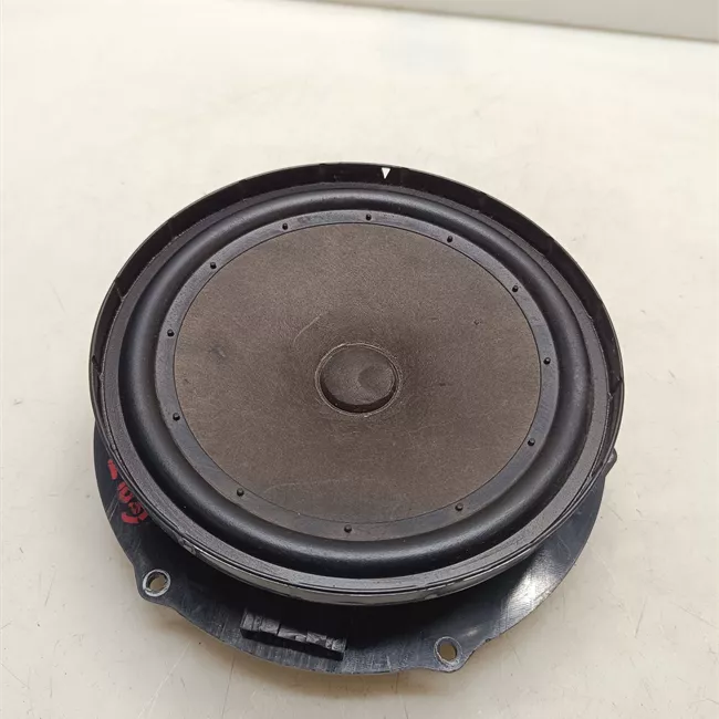 Altoparlante porta anteriore sinistro Woofer con 10 altptarlanti
