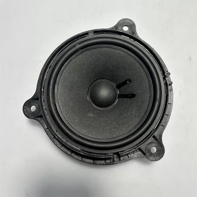 Altoparlante porta anteriore sinistro