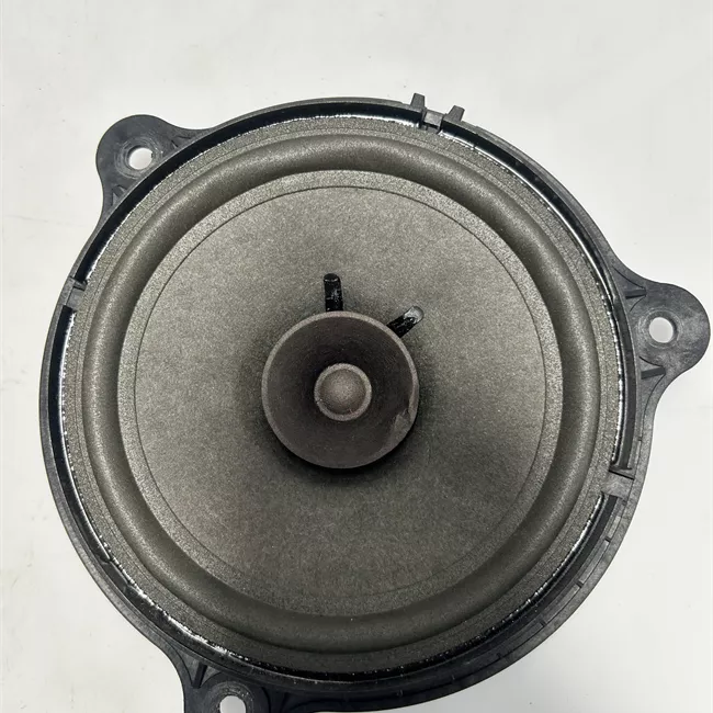 Altoparlante porta anteriore sinistro