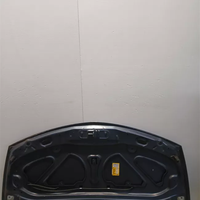 Cofano anteriore Acciaio