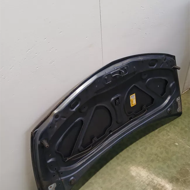 Cofano anteriore Acciaio