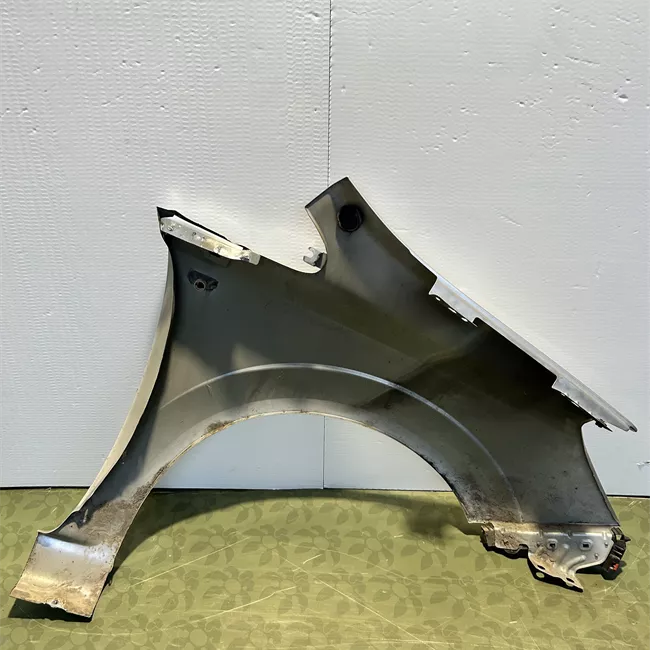 Parafango anteriore sinistro