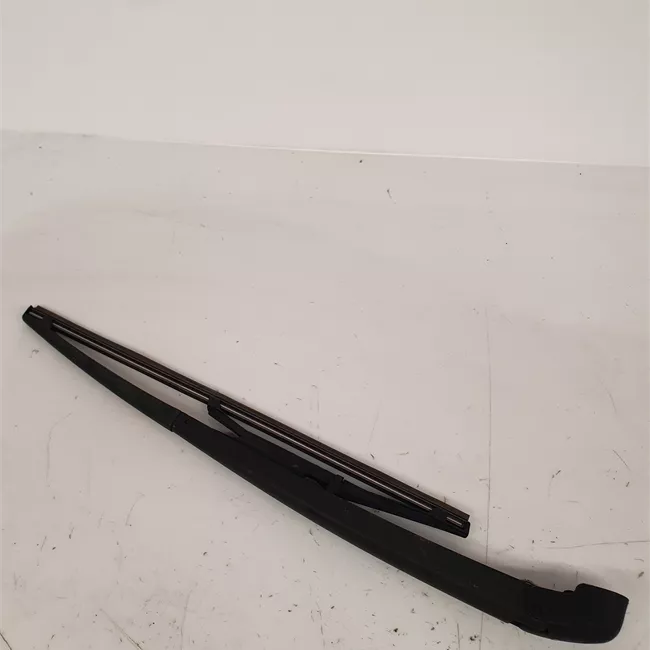 Braccio con spazzola tergilunotto