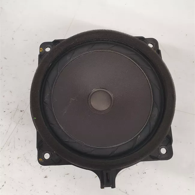 Altoparlante porta anteriore sinistro