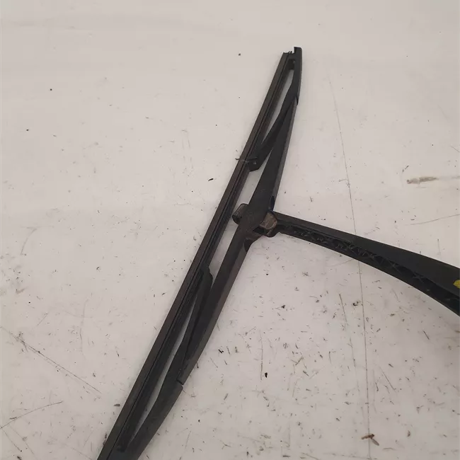 Braccio tergilunotto