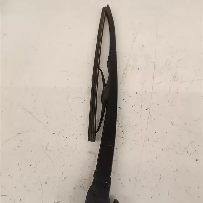 Spazzola tergilunotto