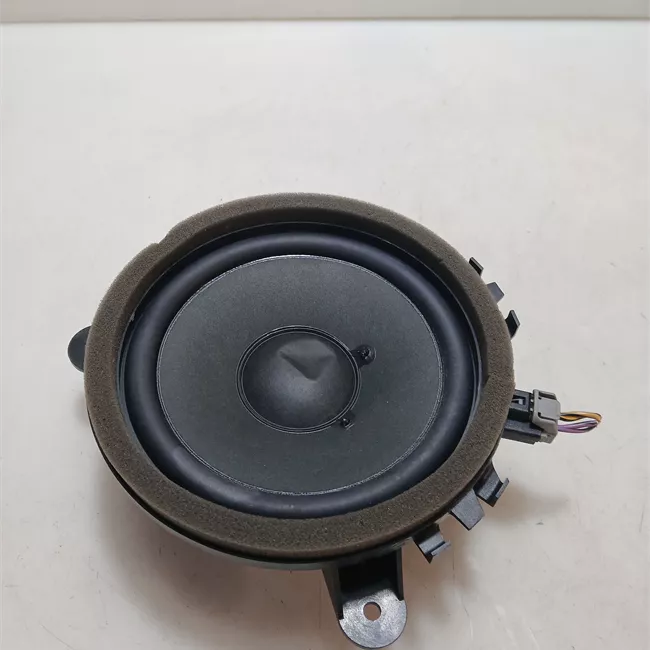 Altoparlante porta anteriore destro High Performance Sound System