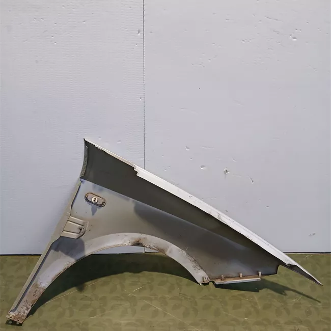 Parafango anteriore sinistro