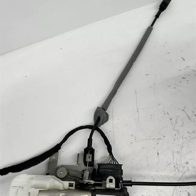 Serratura porta posteriore sinistra