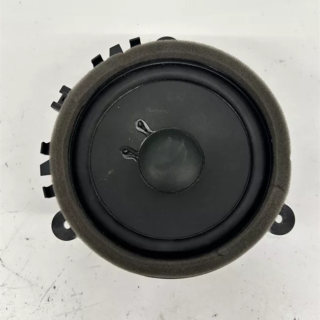 Altoparlante porta anteriore sinistro