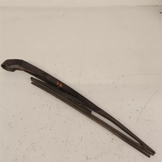 Braccio con spazzola tergilunotto