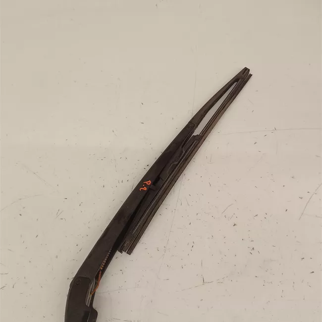 Braccio con spazzola tergilunotto