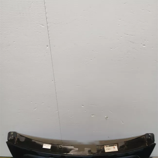 Griglia con stemma Verniciato